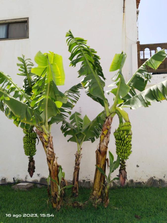 2 Camere Splendida Casa Vacanze In Tenerife Del Sur Casa Trilly Арона Екстериор снимка